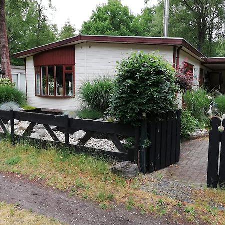 Sfeervol, ruim en luxe chalet in bosrijke omgeving Villa Diessen Buitenkant foto